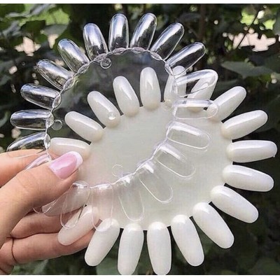 paleta